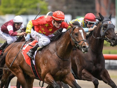 Top-class Sprinter Highlight of 2019 Inglis Chairmans Sale Image 1