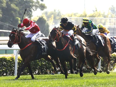 Preview: Gr.1 Centenary Sprint Cup ( Horses, Guide, Racecard ... Image 1