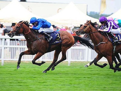 Review: Gr.2 Al Rashidiya and Gr.2 Al Fahidi Fort ( Horses,  ... Image 2