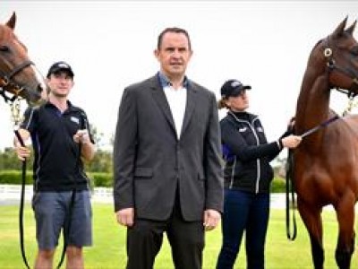 Review: Karaka National Yearling Sale 2019 Image 1