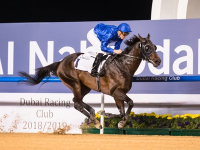 Review: Gr.2 Al Maktoum Challenge R2 Image 2