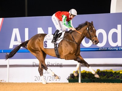 Review: Gr.2 Al Maktoum Challenge R2 Image 1