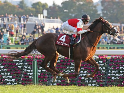 Japan's Suave Richard Dubai Bound Image 1