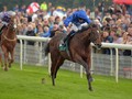 Godolphin's Blue Point and Poetic Charm Headline Thursday Racing At Meydan