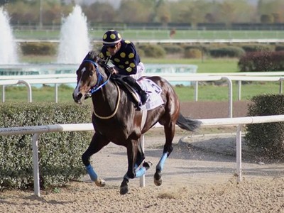 Good Curry will be making his bow at Meydan this weekend Image 1