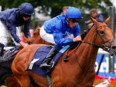 Preview: Gr.2 Meydan Sprint , Gr.2 Balanchine and Gr.3 Fireb ... Image 2