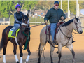 D Wayne Lukas trained-Bravazo Pointing Towards Gr.1 Dubai World Cup