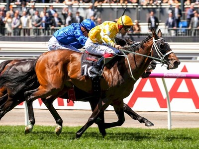 Crisford’s Quartet Head For Oaks Image 3