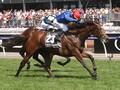 Cross Counter Might Make Meydan Debut In Sheema Classic