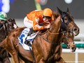 Golden Jaguar To UAE Derby