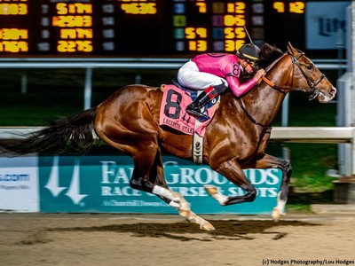 Derma Louvre Pointed To Gr.1 Kentucky Derby Via Dubai Image 1