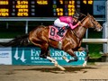 Derma Louvre Pointed To Gr.1 Kentucky Derby Via Dubai