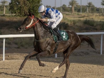 Amwaj Stars Lands Listed Al Ain Mile Image 1