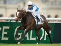 Hornsby Headlines Turf Handicap Feature At Meydan