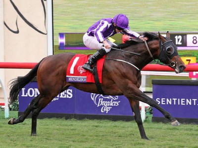 Aidan O’Brien's Dubai Raiders Led By Magical Image 1