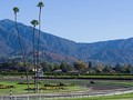 Racing At Santa Anita Canceled Indefinitely