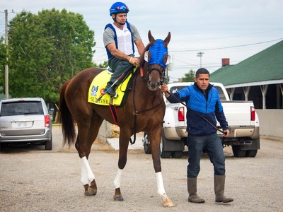 Gunnevera Gunning For Dubai World Cup 2019 Image 2