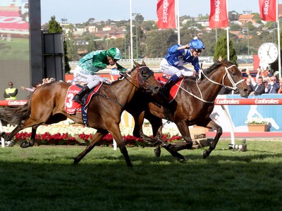 Peter Tighe’s Winx Legacy. Image 2