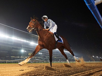 Preview: Gr.2 Godolphin Mile ( Horses, Analysis, Racecard, 2 ... Image 2