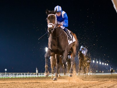 Preview: Gr.2 Godolphin Mile ( Horses, Analysis, Racecard, 2 ... Image 1