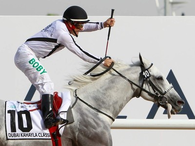 Preview: Gr.1 Dubai Kahayla Classic ( Horses, Analysis, Race ... Image 1