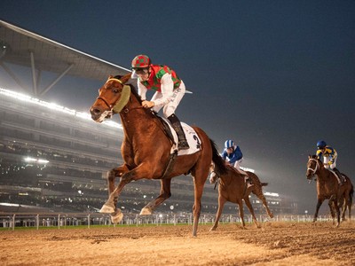 Preview: Gr.1 Dubai Kahayla Classic ( Horses, Analysis, Race ... Image 3