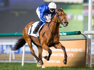 Preview: Gr.2 Dubai Gold Cup ( Horses, Analysis, Racecard, 2 ... Image 3