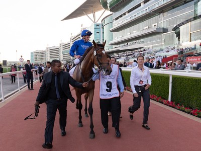 Review: Gr.2 Dubai Gold Cup Image 2