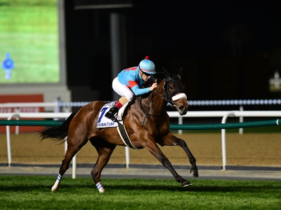 Review: Gr.1 Dubai Turf Image 2