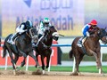 Review: Gr.2 UAE Derby