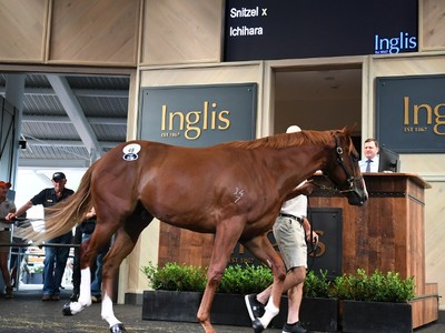 Review: Inglis Easter Sales 2019 Image 1