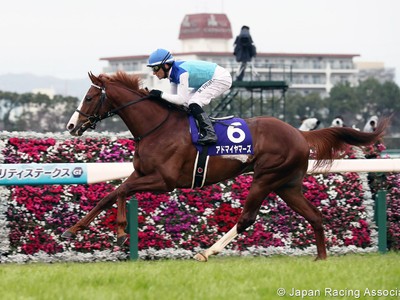 Preview: Gr.1 Satsuki Sho (Japanese 2000 Guineas) Image 2