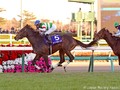 Preview: Gr.1 Satsuki Sho (Japanese 2000 Guineas)