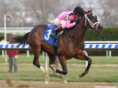 Wonder Gadot Wins Canada's Horse of the Year Award Image 1