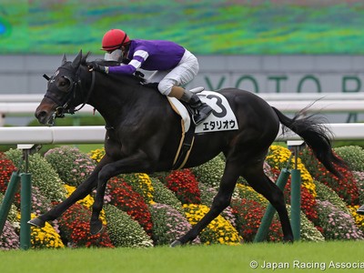 Preview: Gr.1 Tenno Sho 2019 ( Horses, Racecard, 2018 Video) Image 2