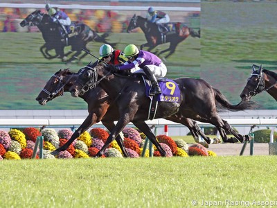 Preview: Gr.1 Tenno Sho 2019 ( Horses, Racecard, 2018 Video) Image 1