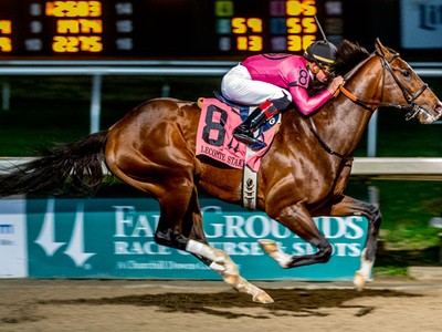 War of Will Starts Preakness Prep Image 1