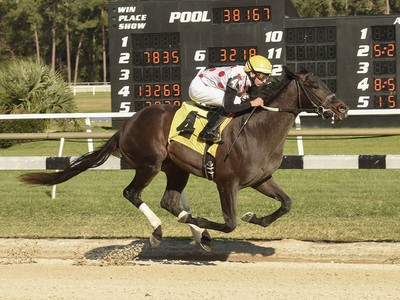 Nothing Maybe About Win Win Win's Preakness Run Image 1