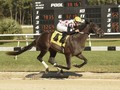 Nothing Maybe About Win Win Win's Preakness Run