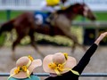 Maryland Jockey Club Offers US$150,000 trainer bonuses on Preakness Stakes weekend