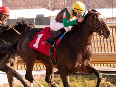 Alwaysmining Confirmed In Preakness Image 1