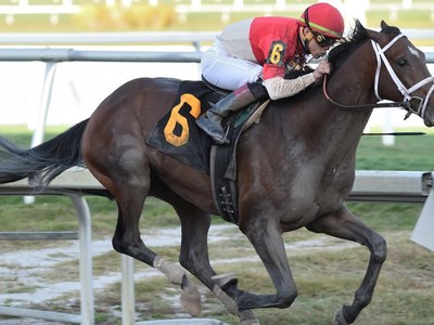 Preview: Preakness Stakes 2019 (Race Result 2018, Race Video ... Image 1