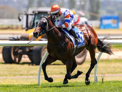 Magic Millions National Weanling Sale Graduate Stakes Claim  ... Image 1