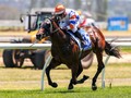 Magic Millions National Weanling Sale Graduate Stakes Claim As Australia’s Most Progressive Sprinter