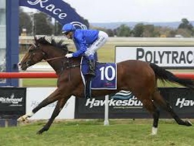 Edinburgh Park Pays A$425,000 For Tefilo Filly At Weanling S ... Image 1