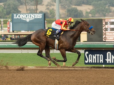 McKinzie Popular Choice for Gr.1 Met Mile Image 1