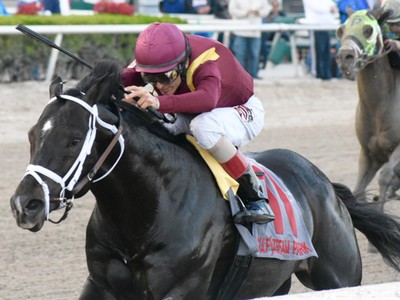 Preview: Gr.1 Met mile (Race Info, Race Video, Race Result 2 ... Image 1