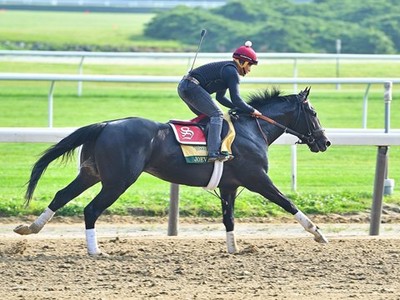 Preview: Gr.1 Belmont Stakes (Race Info, Race Result, Race V ... Image 1