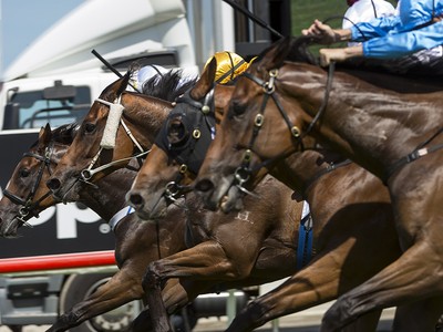 Magic Millions Announces International Raceday Image 1