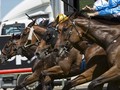 Magic Millions Announces International Raceday